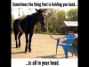 IMG_0573.PNG IMG_0573.PNG