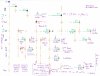 Bands A Sequence Tree Map v170519.jpg