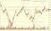 ES  2_23_2018 1245 Tick.jpg