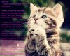 Anime-kittens-cats-praying-496315.jpg