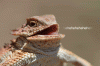 F63A8227-A8F8-4501-AB95-98AF409DB979.gif