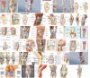 knee anatomy.jpg