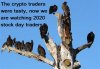 Patient Vultures.jpg
