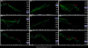_AlgoSignals_MultipleForexPairs_01-10-2016.png