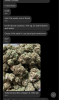 Screenshot_20210613-193424.png
