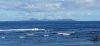 20221016_163601.jpg