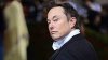 elon smirk.jpg