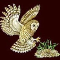 MarketOwl