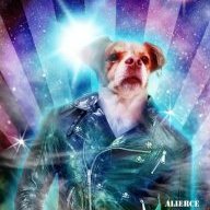Alierce