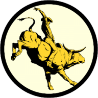 Cowboy Bills Bull