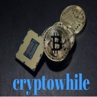 CryptoWhile