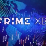primexbt317