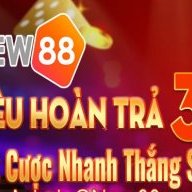 trangchunew88