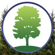 timberridgetreecare