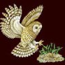 MarketOwl