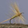 dryfly