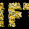 HFT italy