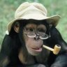 ChimpTrader