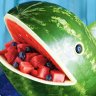 WatherMelon