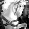 Baroquenhorse