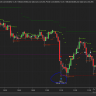 trader221