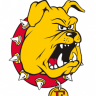 TheBulldog