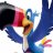 toucan