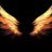 Wingz
