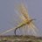 dryfly