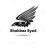 Shahbaz Syed VSA-