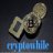 CryptoWhile