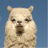 Alpaca_Yoshi