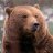 torbear