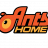 antshomevn